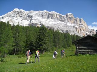IMG_2223