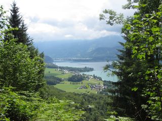 IMG_0364 IMG_0364