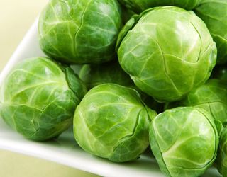 Brussels-sprouts